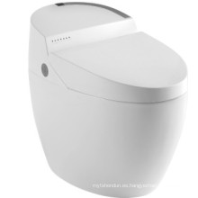 Cuarto de baño nuevo diseño inteligente WC (JN30603)